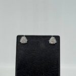Elegant earrings