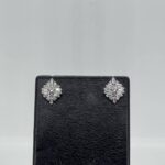 Elegant earrings