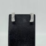 Elegant earrings