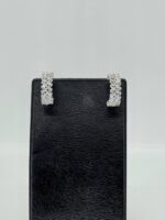 Elegant earrings