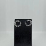 Elegant earrings