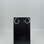 Elegant earrings
