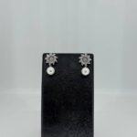 Elegant earrings